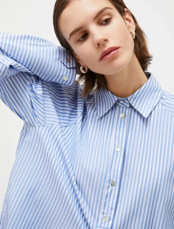 MARELLA Blue Pinstripe Rose Shirt
